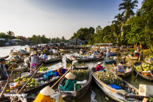 Thuê Xe Đi Mekong 4-45 Chỗ