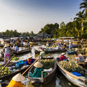Thuê Xe Đi Mekong 4-45 Chỗ