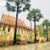 Thuê Xe Sài Gòn Đi Sóc Trăng 4-45 Chỗ