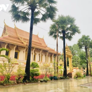 Thuê Xe Sài Gòn Đi Sóc Trăng 4-45 Chỗ