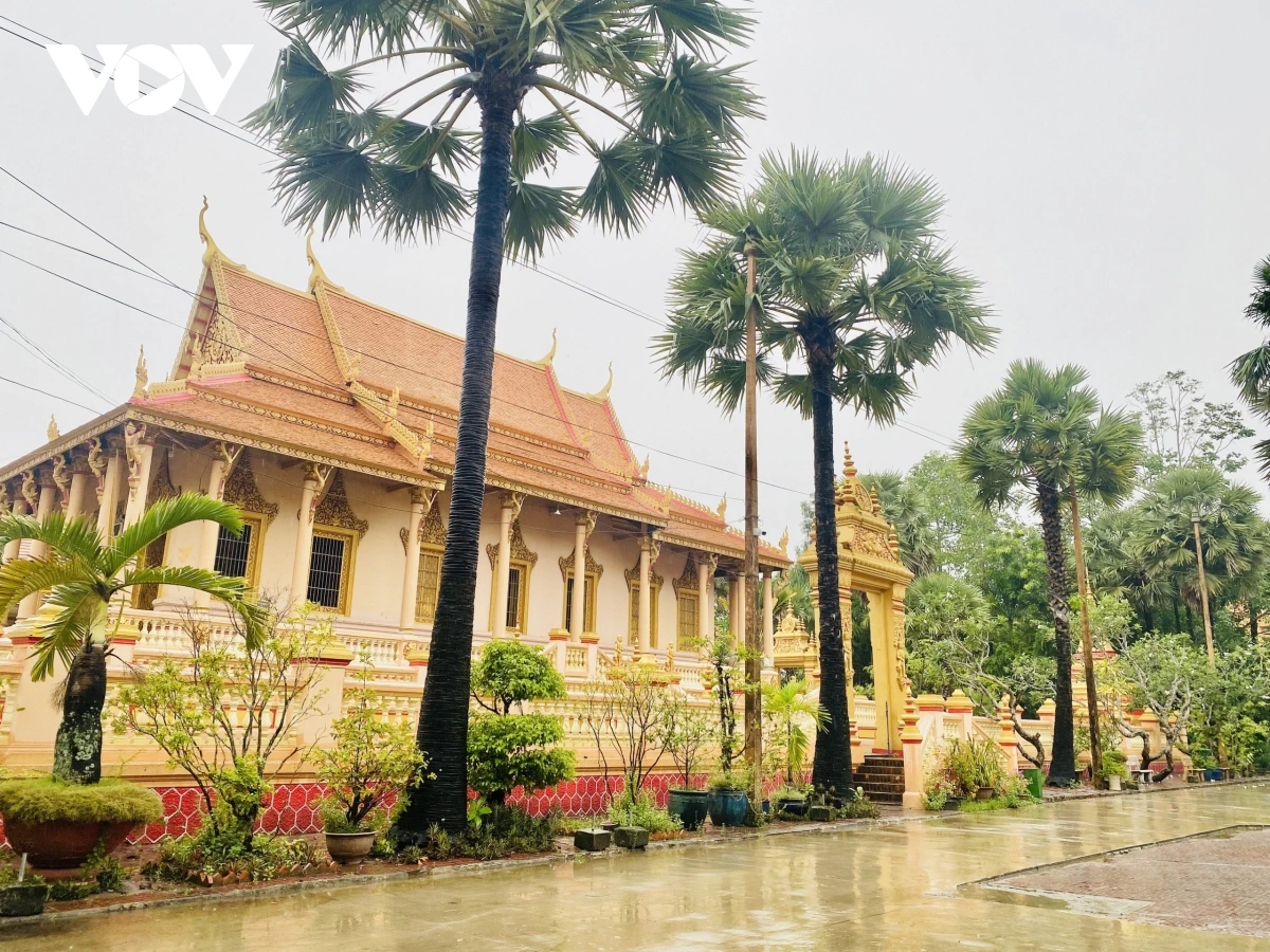 Thuê Xe Sài Gòn Đi Sóc Trăng 4-45 Chỗ